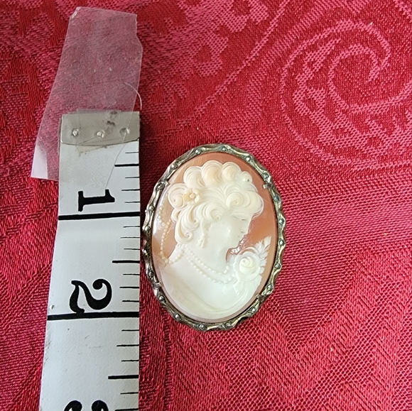 Victorian Cameo Pin/Broach - Picture 4 of 7